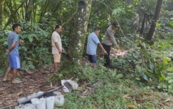 Penderes di Purbalingga Tewas Terjatuh dari Pohon Kelapa, Polisi Periksa TKP