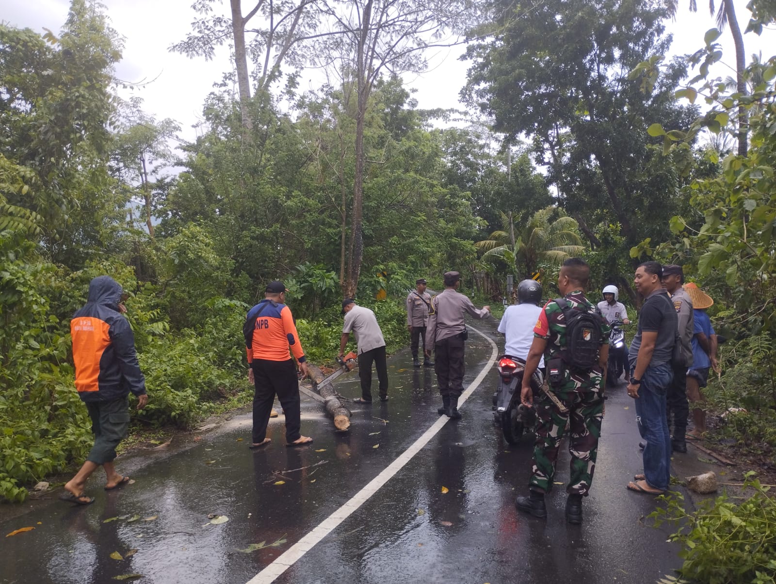 Tanggap Darurat Cuaca Ekstrem, Polsek Gerung Atasi Pohon Tumbang