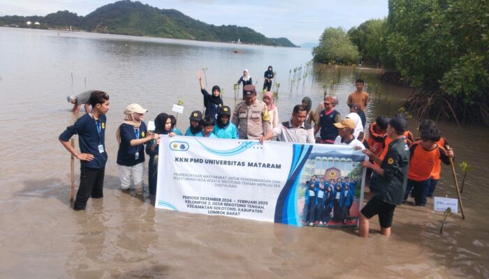 Aksi Nyata di Pesisir Sekotong: Bersih Pantai, Tanam Mangrove Demi Masa Depan