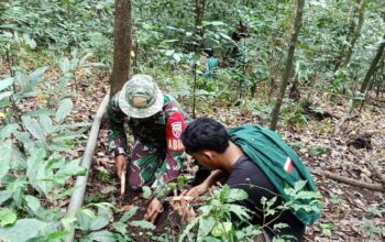 Kolaborasi Hijau: Peduli Lingkungan di Hutan Mandala Gondang