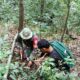 Kolaborasi Hijau: Peduli Lingkungan di Hutan Mandala Gondang