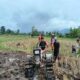 Upaya Perluasan Sawah di Mapak Belatung, Babinsa Turun Tangan 