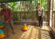 Bhabinkamtibmas Jagaraga Bantu Peternak Ayam Super Kembangkan Usaha