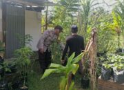 Inspiratif! Kapolsek Batulayar Pantau Lahan Bergizi Warga