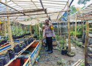 Bhabinkamtibmas Desa Bajur Ajak Warga Manfaatkan Lahan Pekarangan untuk Ketahanan Pangan