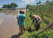 Polisi di Lombok Barat Ajak Warga Tanam Pangan untuk Ketahanan Pangan Nasional