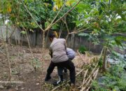 Bhabinkamtibmas Desa Kuripan Utara Ajak Warga Tingkatkan Kemandirian Pangan