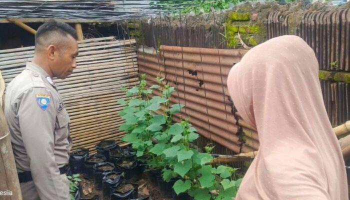 Polisi di Lombok Ini Keren! Ajak Warga Manfaatkan Lahan Nganggur Jadi Produktif