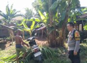 Inisiatif Bhabinkamtibmas Kediri Tingkatkan Kamtibmas dan Swasembada Pangan di Lombok Barat