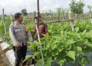 Optimalisasi Pekarangan Pangan Bergizi melalui Sambang Bhabinkamtibmas