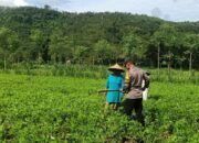 Sinergi Polisi dan Petani Wujudkan Kemandirian Pangan