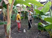 Optimalisasi Potensi Lokal, Desa Merembu Siap Swasembada Pangan