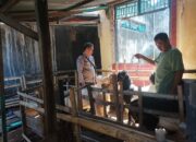 Program Ketahanan Pangan: Bhabinkamtibmas Desa Batulayar Barat Ajak Warga Manfaatkan Pekarangan Rumah