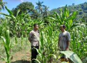 Polisi Desa Dorong Pemanfaatan Lahan Kosong untuk Ketahanan Pangan