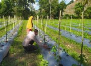 Sinergi Polri dan Petani: Upaya Menjaga Kamtibmas dan Ketahanan Pangan