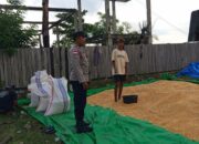 DDS Bhabinkamtibmas: Menyapa Petani, Menjaga Sekotong Barat