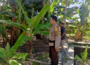 Inisiatif Bhabinkamtibmas: Memperkuat Ketahanan Pangan Melalui Kerja Sama dengan Masyarakat Desa Terong Tawah