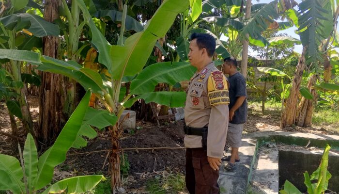 Inisiatif Bhabinkamtibmas: Memperkuat Ketahanan Pangan Melalui Kerja Sama dengan Masyarakat Desa Terong Tawah