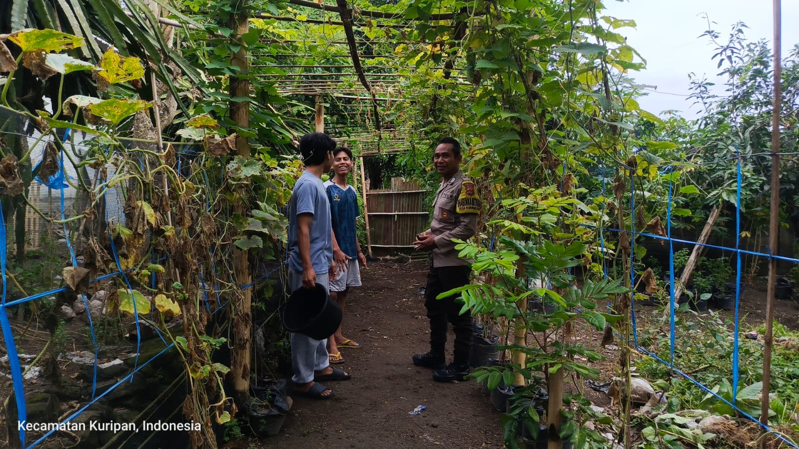 Lombok Barat, NTB – Kepolisian Sektor Kuripan, melalui personel Bhabinkamtibmasnya, terus menunjukkan komitmen dalam mendekatkan diri dengan masyarakat sekaligus mendukung program-program strategis pemerintah hingga ke tingkat akar rumput. Salah satu wujud nyata dari upaya ini terlihat pada Rabu (14/05/2025), ketika Bhabinkamtibmas Desa Kuripan Utara melaksanakan kunjungan dan silaturahmi di Dusun Pesongoran. Fokus utama kunjungan kali ini adalah menyambangi Komunitas Pemuda Peduli Lingkungan yang berlokasi di dusun tersebut. Pertemuan yang berlangsung santai namun penuh makna ini dimulai sekitar pukul 09.30 WITA dan dihadiri oleh sejumlah perwakilan pemuda anggota komunitas. Meningkatkan Sinergi dan Kesadaran Pangan Lokal Kegiatan yang diinisiasi oleh Bhabinkamtibmas Desa Kuripan Utara ini bertujuan ganda: pertama, mempererat jalinan silaturahmi dan komunikasi yang sudah terjalin baik antara pihak kepolisian dengan warga binaan, khususnya komunitas pemuda. Kedua, dan tak kalah pentingnya, adalah mensosialisasikan serta mendorong partisipasi aktif komunitas dalam program ketahanan pangan nasional, dengan fokus pada skala rumah tangga dan komunitas. Di tengah tantangan global terkait ketersediaan pangan, inisiatif di tingkat lokal seperti yang digaungkan oleh Bhabinkamtibmas ini menjadi sangat relevan. Konsep ketahanan pangan yang disampaikan merujuk pada kemandirian dalam memenuhi kebutuhan pangan keluarga atau komunitas, salah satunya melalui pemanfaatan lahan pekarangan kosong yang kerap kali belum termanfaatkan secara optimal. Pentingnya Peran Pemuda dan Pemanfaatan Pekarangan Memilih Komunitas Pemuda Peduli Lingkungan sebagai sasaran sosialisasi bukanlah tanpa alasan. Kaum muda memiliki energi, kreativitas, dan potensi besar sebagai agen perubahan di masyarakat. Keterlibatan mereka dalam program ketahanan pangan diharapkan dapat menjadi penggerak dan contoh bagi warga lainnya, sekaligus menumbuhkan kesadaran akan pentingnya kemandirian pangan dari usia dini. Dalam dialog yang interaktif, Bhabinkamtibmas menjelaskan betapa mudahnya memulai program ketahanan pangan mandiri. Dengan menanam sayuran atau tanaman pangan lainnya di pekarangan kosong, warga dapat menghasilkan sumber pangan yang sehat, segar, dan tentunya menghemat biaya belanja. Selain itu, kegiatan berkebun juga bisa menjadi hobi positif yang produktif bagi para pemuda. Berbagai jenis sayuran yang cocok ditanam di pekarangan, seperti cabai, tomat, terong, bayam, atau kangkung, dibahas sebagai contoh konkret. Dukungan Penuh dari Pihak Kepolisian Sektor Kuripan Menanggapi kegiatan positif ini, Kapolres Lombok Barat, Polda NTB, AKBP Yasmara Harahap, S.I.K., melalui Kapolsek Kuripan, Polres Lombok Barat, Ipda I Wayan Eka Ariyana, S.H., menyampaikan apresiasinya. Menekankan bahwa kegiatan seperti ini merupakan bagian integral dari tugas kepolisian, khususnya Bhabinkamtibmas, dalam melakukan pembinaan masyarakat. "Kegiatan ini sangat positif. Kami dari Kepolisian, khususnya Bhabinkamtibmas, memiliki peran strategis dalam membina masyarakat hingga ke tingkat dusun. Program ketahanan pangan ini bukan hanya soal menanam, tapi juga membangun kemandirian masyarakat," ujar Ipda I Wayan Eka Ariyana. Kapolsek menambahkan, bahwa mengapresiasi partisipasi aktif komunitas pemuda di Kuripan Utara ini. “Mereka adalah aset penting dalam mewujudkan lingkungan yang lestari sekaligus mendukung ketahanan pangan lokal. Sinergi antara Polri dan masyarakat, terutama generasi muda, sangat krusial untuk menjaga stabilitas dan kesejahteraan,” ujarnya.