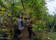 Peran Strategis Bhabinkamtibmas Dorong Ketahanan Pangan Lokal