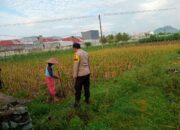 Bhabinkamtibmas Dorong Warga Karang Bongkot Tanam Komoditas Pangan