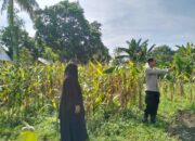 Sinergi Polri-Petani Tingkatkan Kemandirian Pangan di Desa Lelede