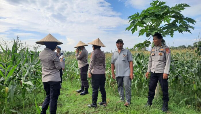 Dukungan Polres Lobar untuk Ketahanan Pangan Lokal