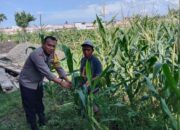 Optimalisasi Lahan Kosong Desa Bagik Polak Barat untuk Ketahanan Pangan