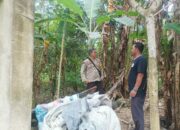 Ketahanan Pangan Dimulai dari Rumah: Inisiatif Polsek Batulayar di Lombok Barat