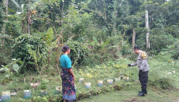 Bhabinkamtibmas Batulayar Barat Gencarkan Program Ketahanan Pangan Rumah Tangga