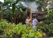 Peran Bhabinkamtibmas dalam Mewujudkan Ketahanan Pangan Desa