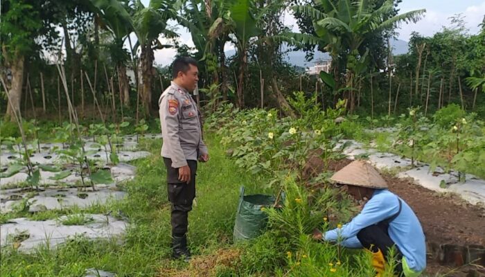 Mendorong Ketahanan Pangan di Desa Jagaraga: Peran Polri dan Masyarakat