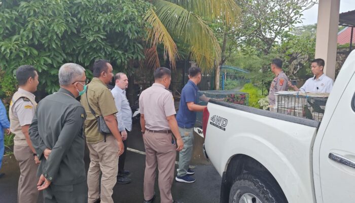 Pengamanan 81 Burung Tanpa Dokumen di Lombok Barat, Termasuk Satwa Dilindungi
