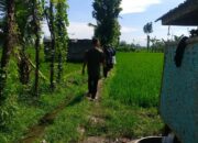 Sinergi Polisi dan Petani Tingkatkan Produktivitas Lahan di Lombok Barat