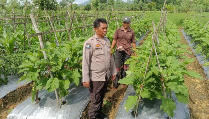 Bhabinkamtibmas Sambangi Petani dan Peternak di Beleka