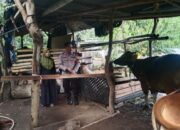 Bhabinkamtibmas Batulayar Barat Ajak Warga Manfaatkan Pekarangan