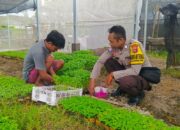 Bhabinkamtibmas Desa Kuripan Utara Sosialisasikan Ketahanan Pangan Nasional