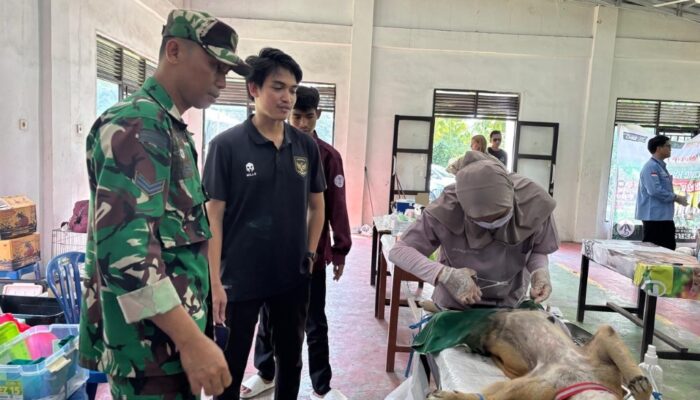 Babinsa Dampingi Sterilisasi Anjing Liar di Lingsar