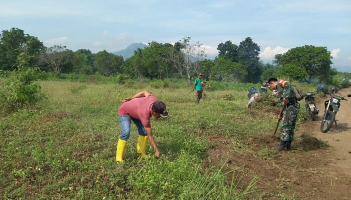 Gotong Royong Warga Rempek Sambut Kehadiran Ustaz Abdul Somat