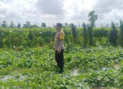 Bhabinkamtibmas Aktif Bina Petani Desa Beleka NTB