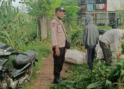 Peran Aktif Polri dalam Ketahanan Pangan: Panen Jagung di Kediri, Lombok Barat