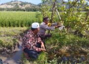 Sinergi Polri dan Petani di Gerung Perkuat Ketahanan Pangan