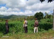 Sambang Petani di Gerung, Polri Tekankan Perawatan Tanaman Berkelanjutan