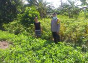 Bhabinkamtibmas Jagaraga Giatkan Swasembada Pangan di Kuripan