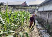 Bhabinkamtibmas Labuapi Ajak Petani Manfaatkan Lahan Kosong