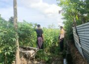 Pendampingan Polri Dorong Ketahanan Pangan di NTB