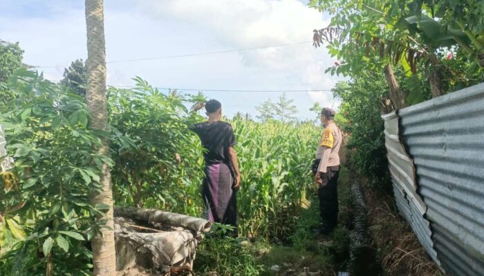 Pendampingan Polri Dorong Ketahanan Pangan di NTB