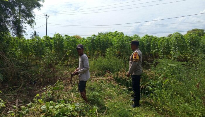 Peran Aktif Polisi Desa Sekotong Barat Dorong Produktivitas Petani