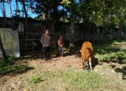 Ketahanan Pangan di Senggigi: Peran Aktif Polsek Batulayar