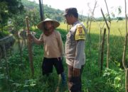 Ketahanan Pangan Dimulai dari Pekarangan: Inisiatif Polri di Taman Ayu